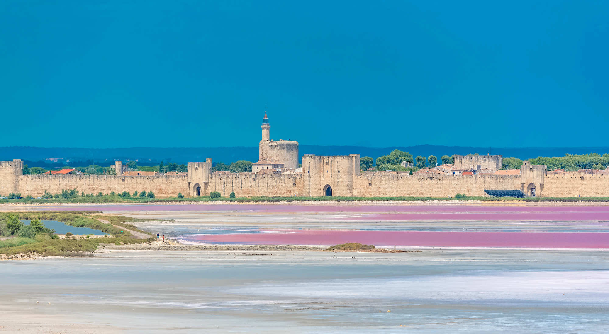 La Camargue autrement  -  visuel 1/1