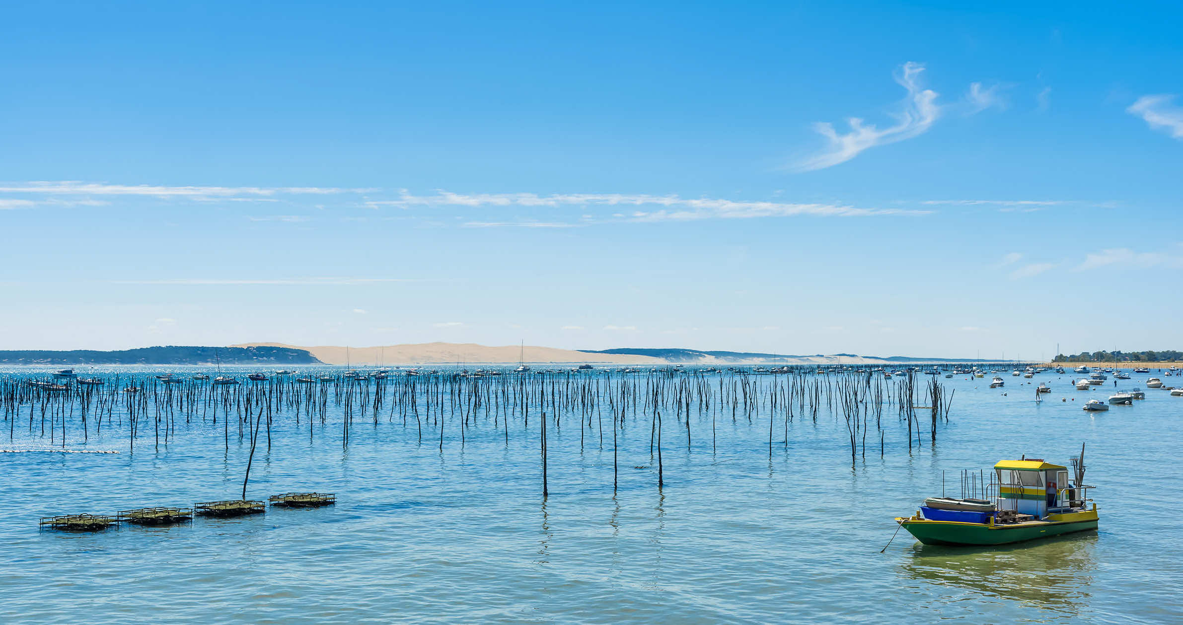 Le secret le mieux gardé de la côte Atlantique est caché derrière une pinède  -  visuel 1/1