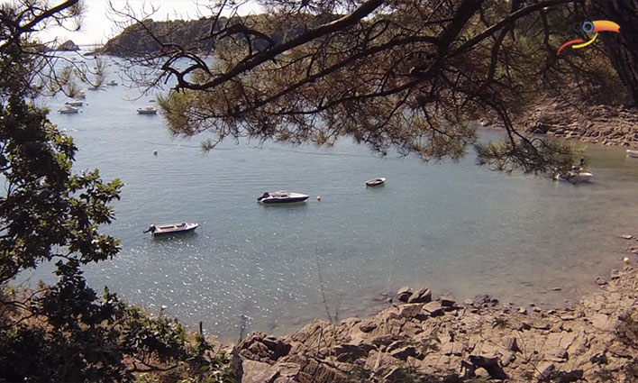 Cancale et son chemin de douaniers  -  visuel 1/1 Cancale et son chemin de douaniers  -  visuel 1/1