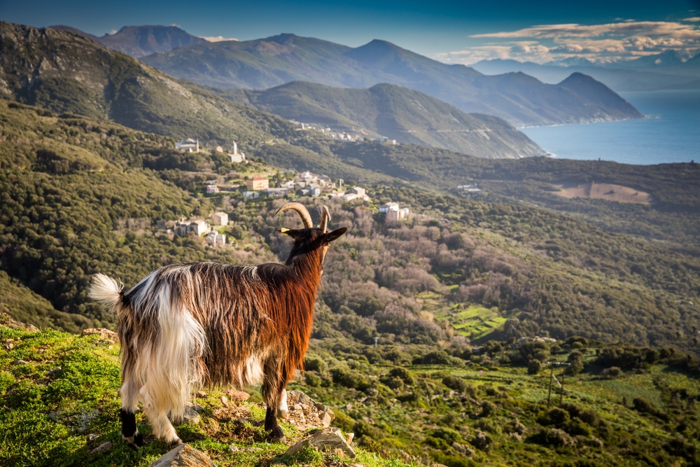La Corse autrement  -  visuel 1/1
