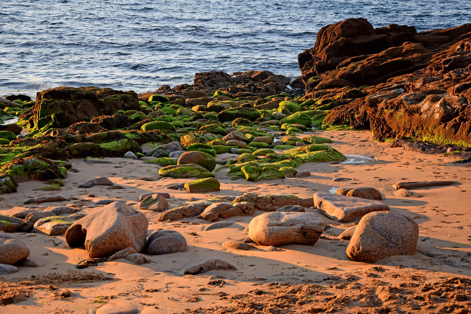 C'est au large de cette ville que se trouve la cité engloutie la plus célèbre de Bretagne  -  visuel 1/1