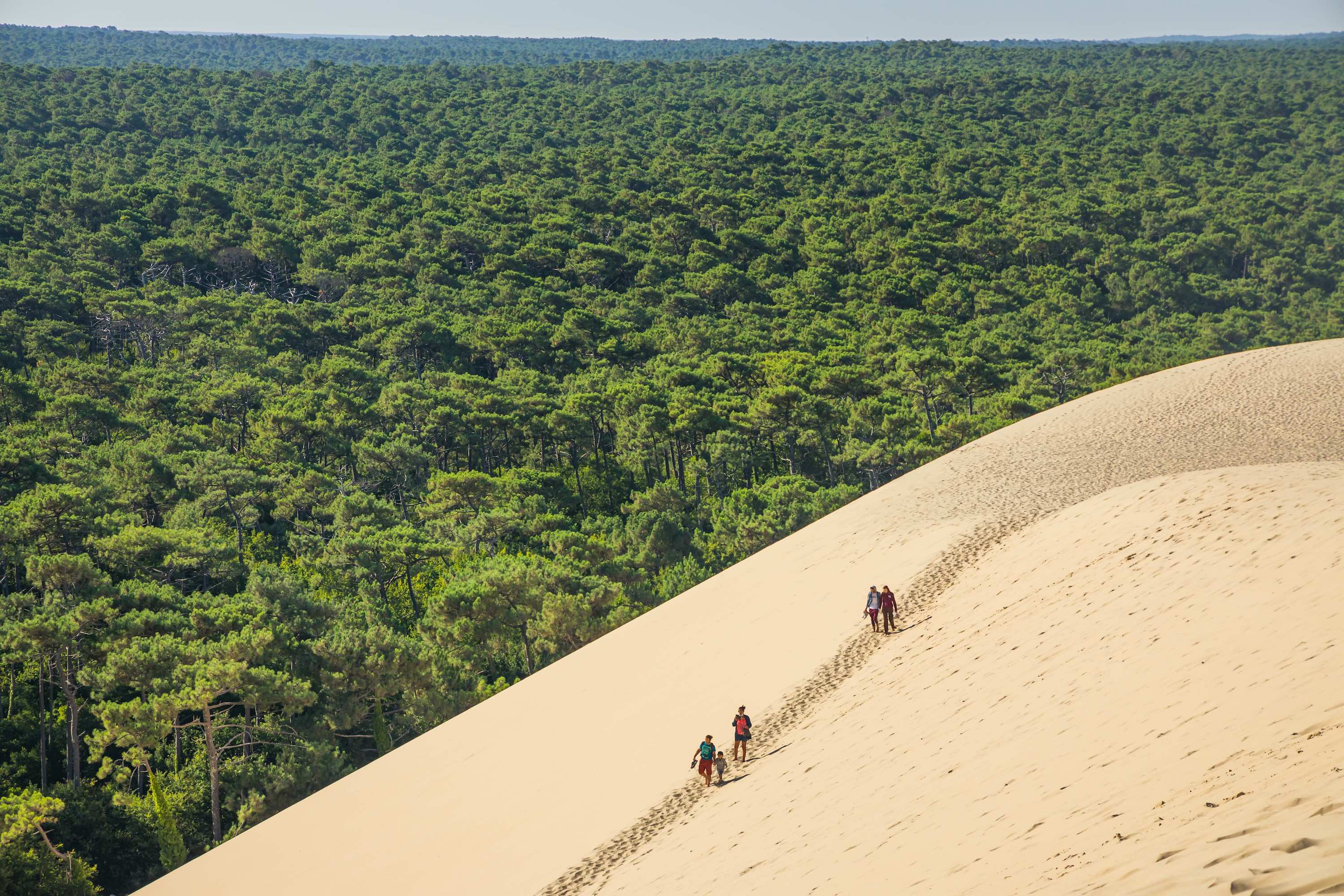 La Dune du Pilat : Une aventure sablonneuse inoubliable  -  visuel 1/1