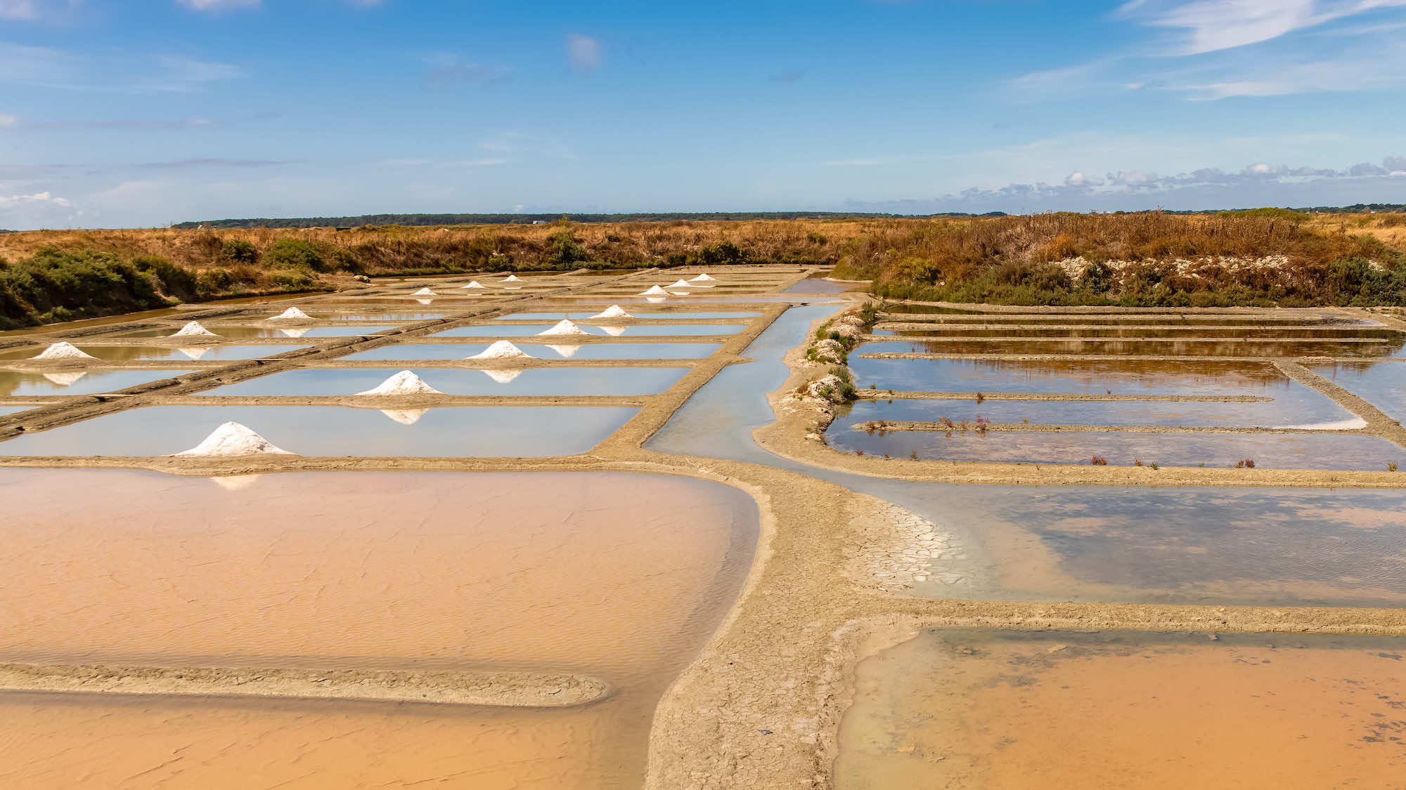 La Loire-Atlantique autrement : de l’estuaire aux marais salants  -  visuel 1/1