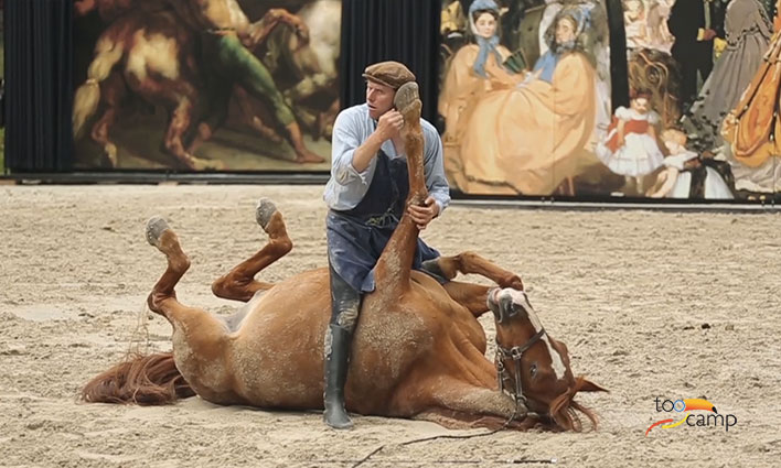 Le Mag Camping - Le Haras de la Roche sur Yon en Vendée avec son spectacle équestre