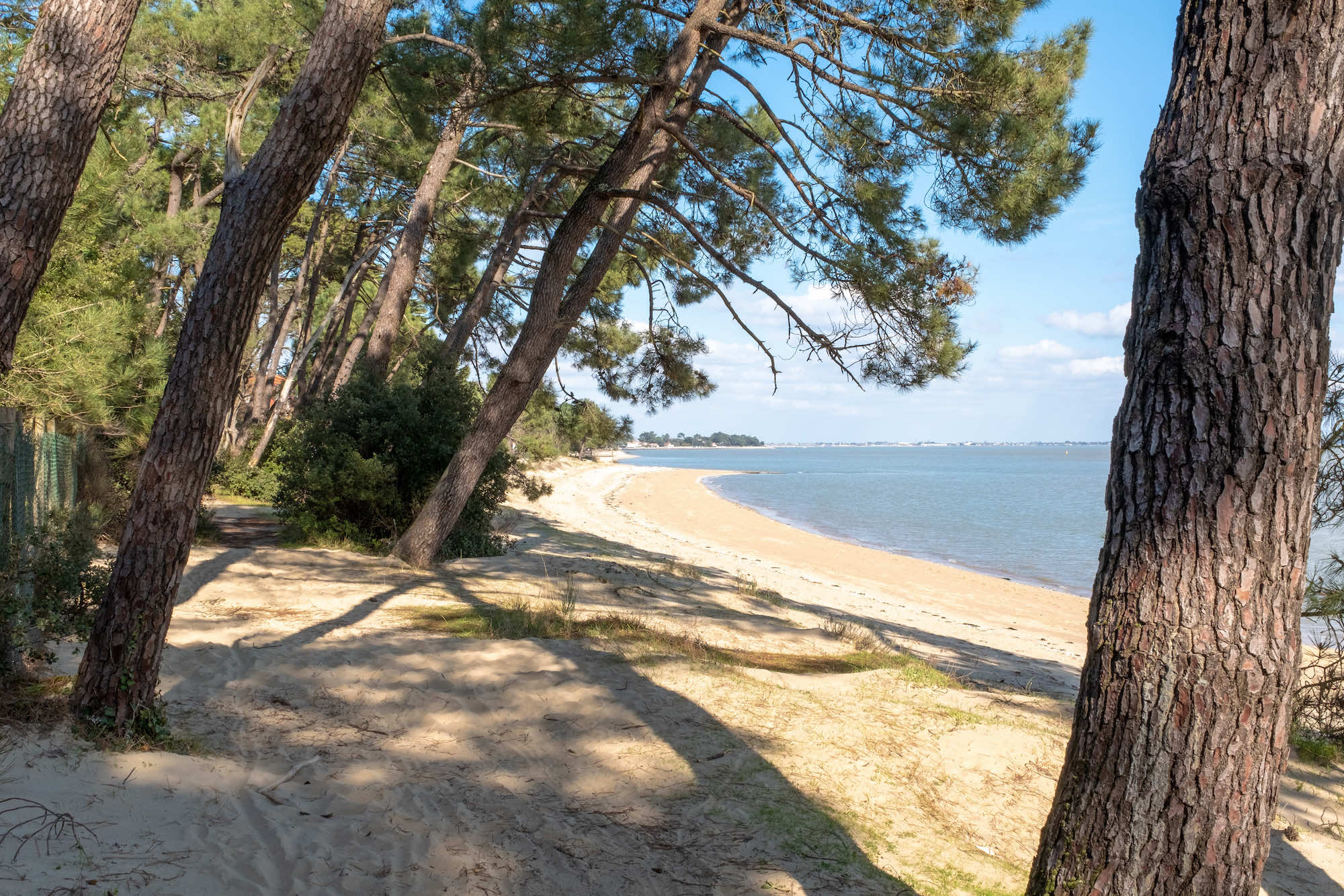 On a repéré cette super offre sur l'île d'Oléron : 8 jours et 7 nuits, en mobil-home 6 personnes face à la plage de sable fin dès 46 euros !  -  visuel 1/1