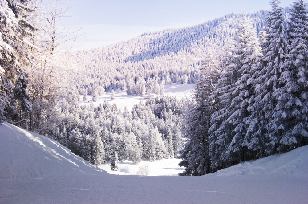 Que faire au Lac de Clairvaux ?  -  visuel 1/1