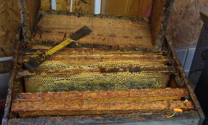 Les Secrets de fabrication du Miel  -  visuel 1/1