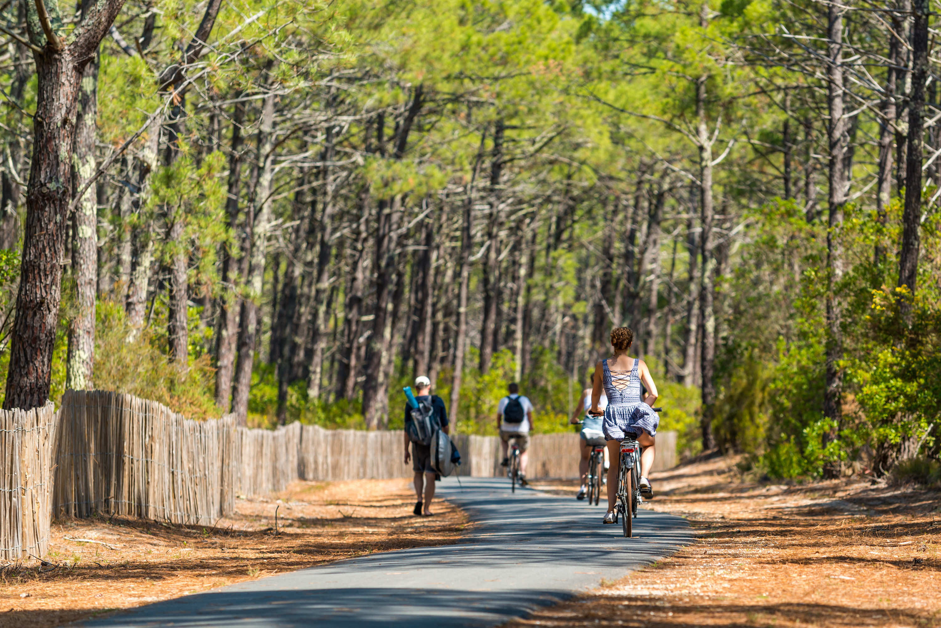 La Dune du Pilat : Une aventure sablonneuse inoubliable  -  visuel 1/1