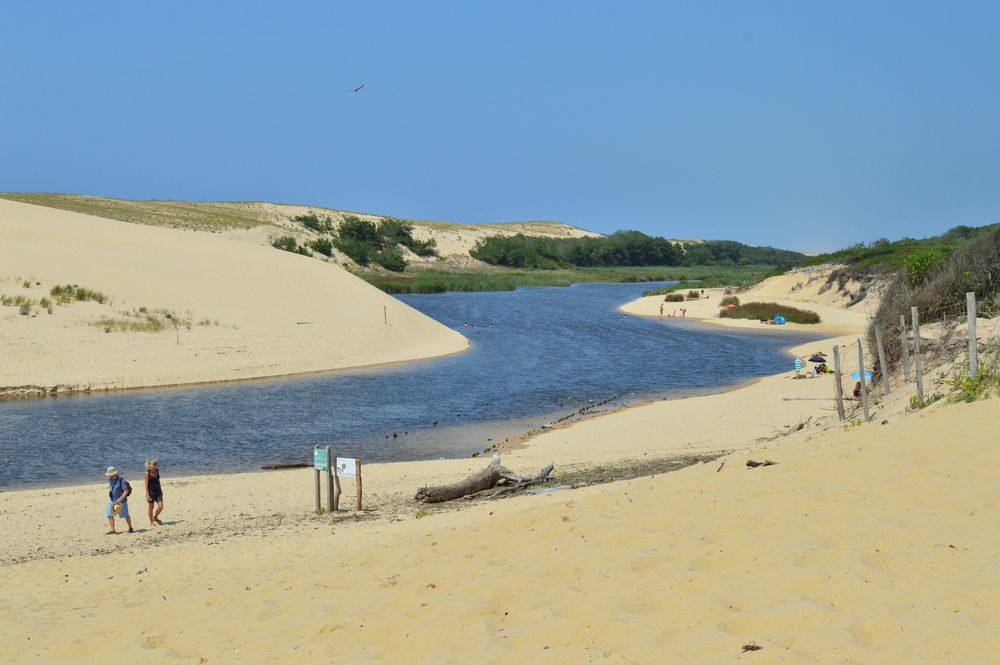 Les Landes autrement  -  visuel 1/1