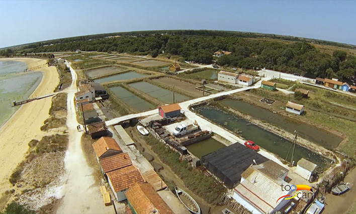 Ostréiculture sur l'ile d'Oléron ; la Culture des huitres en vidéo  -  visuel 1/1