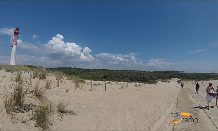 Que faire à La Palmyre et aux Mathes en vacances ?  -  visuel 1/1