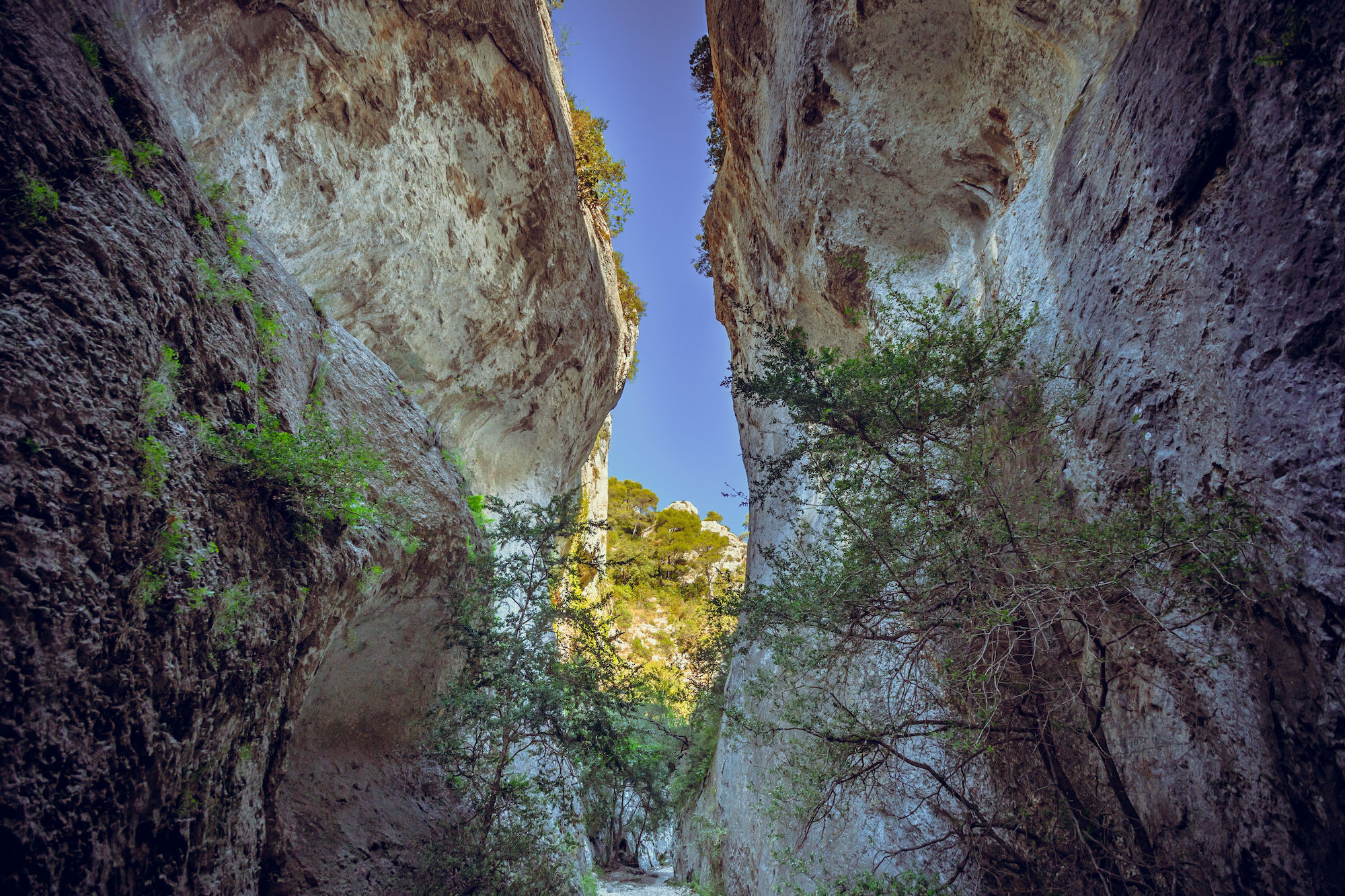 5 randonnées incontournables du Luberon pour plonger au cœur de paysages d’exception  -  visuel 1/1