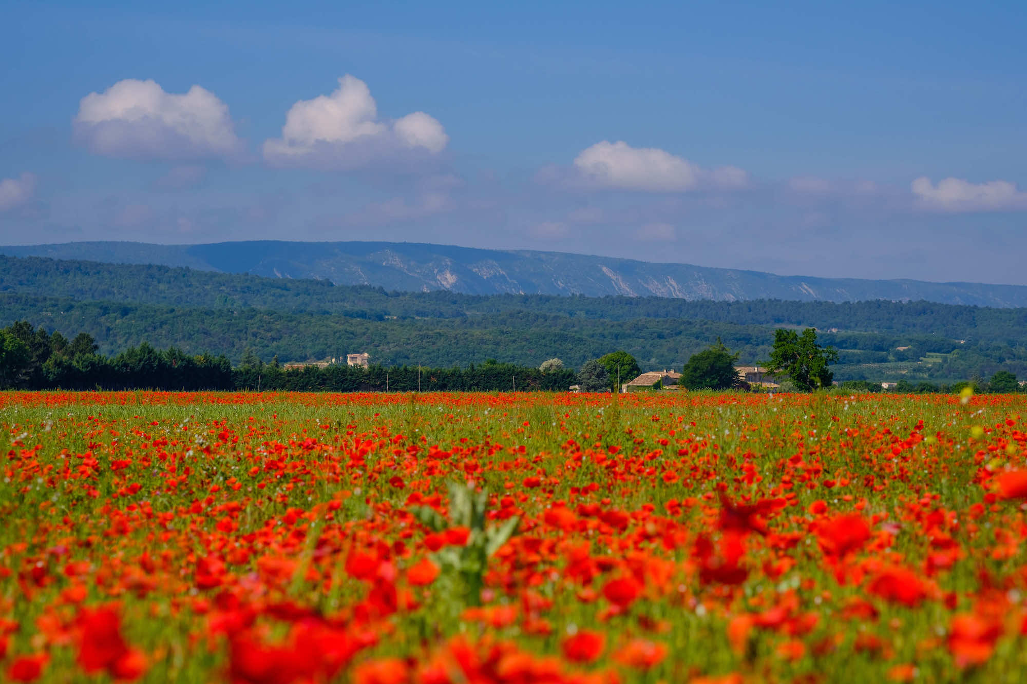 Oubliez l’Ouest américain, ce site ocre et rouge vous promet des randonnées exceptionnelles en France  -  visuel 1/1