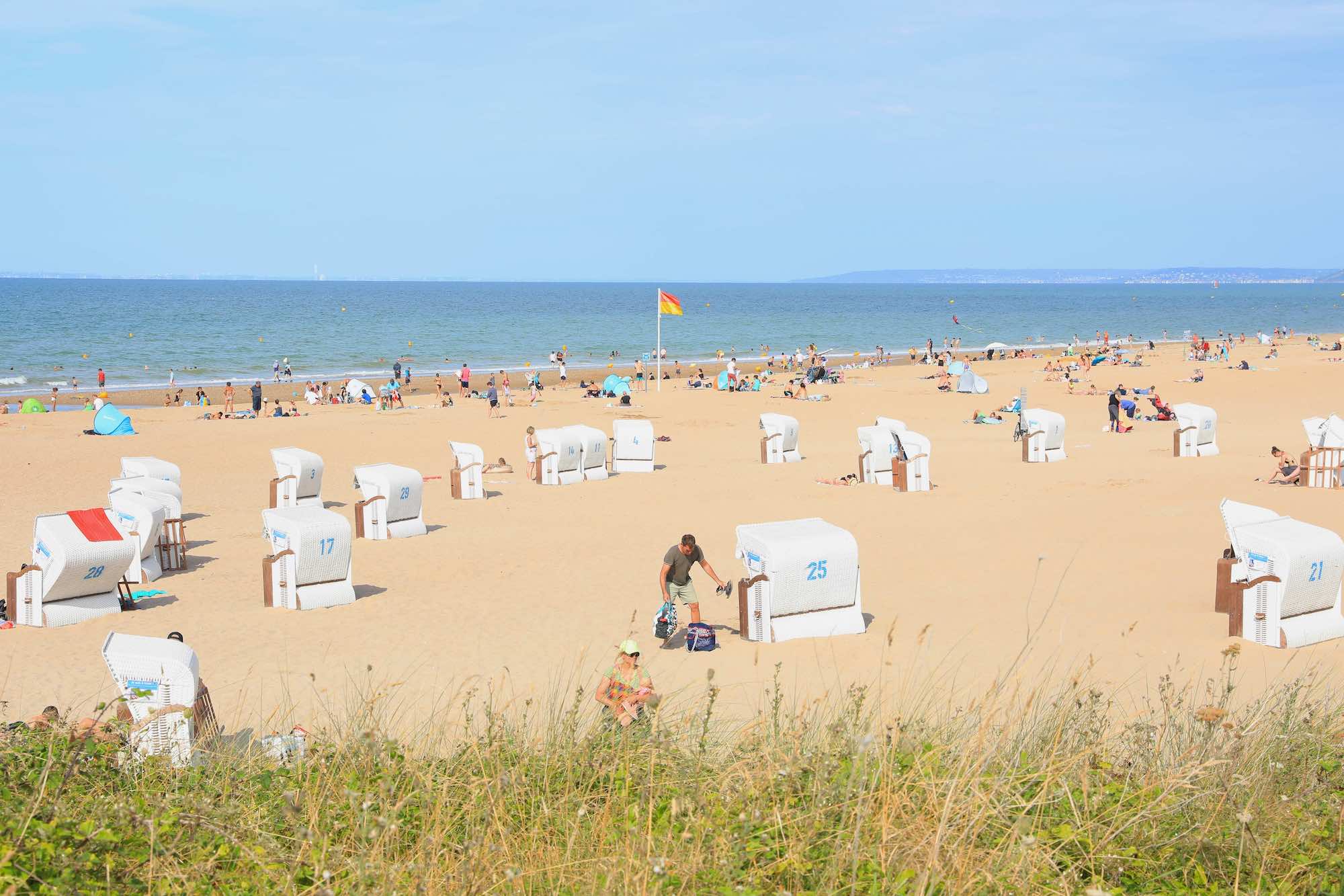 Les plus belles plages de France autorisées aux chiens en été  -  visuel 1/1