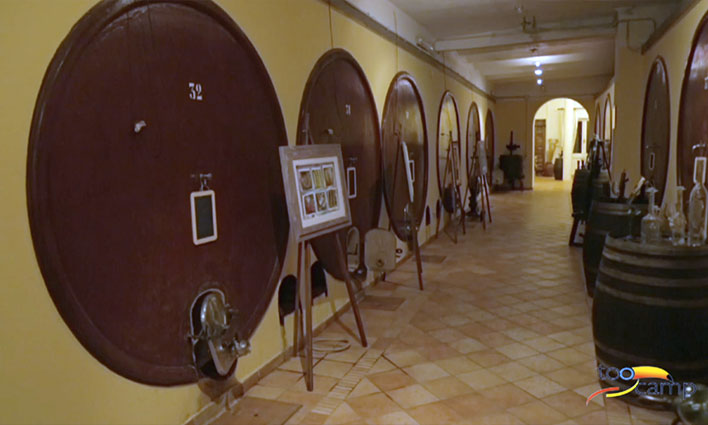 Déguster le Est ! Est !! Est !!! lors de la fête du Vin de Montefiascone en Italie  -  visuel 1/1