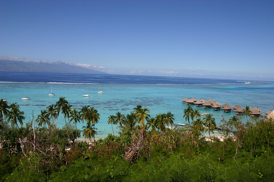 Un camping à Moorea sur une plage de rêve !  -  visuel 1/1