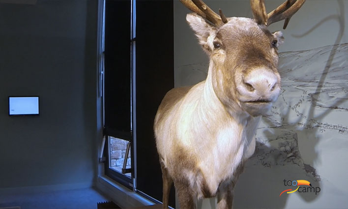 Aven d'Orgnac : la grotte et le musée préhistorique à découvrir  -  visuel 1/1