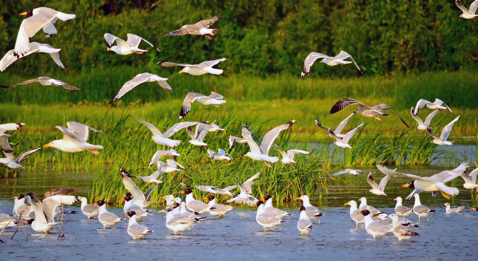 Vacances à Saint-Jean-de-Monts ? Les activités et découvertes à ne pas manquer  -  visuel 1/1