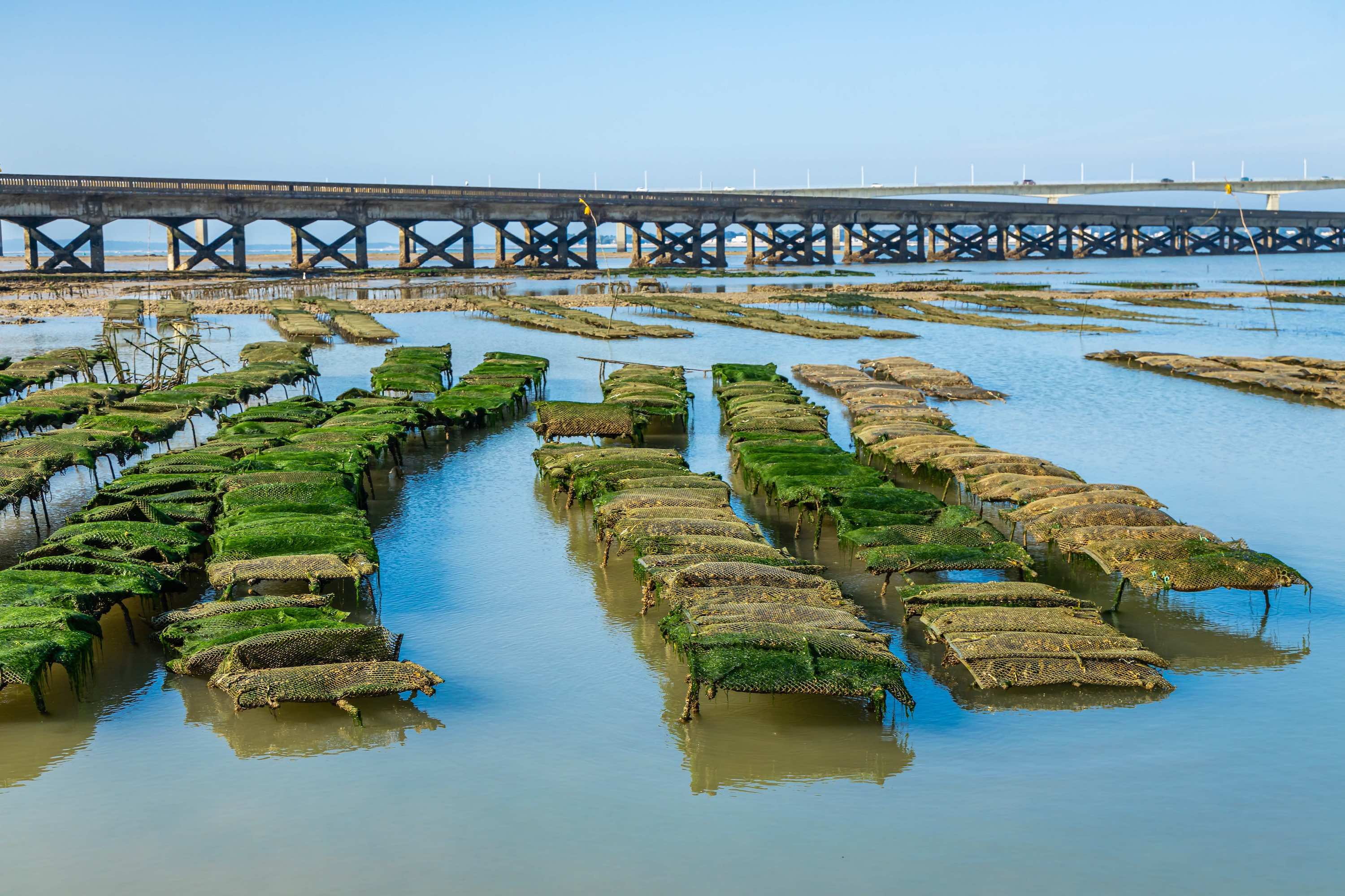 Les incontournables à ne pas louper en Charente-Maritime  -  visuel 1/1