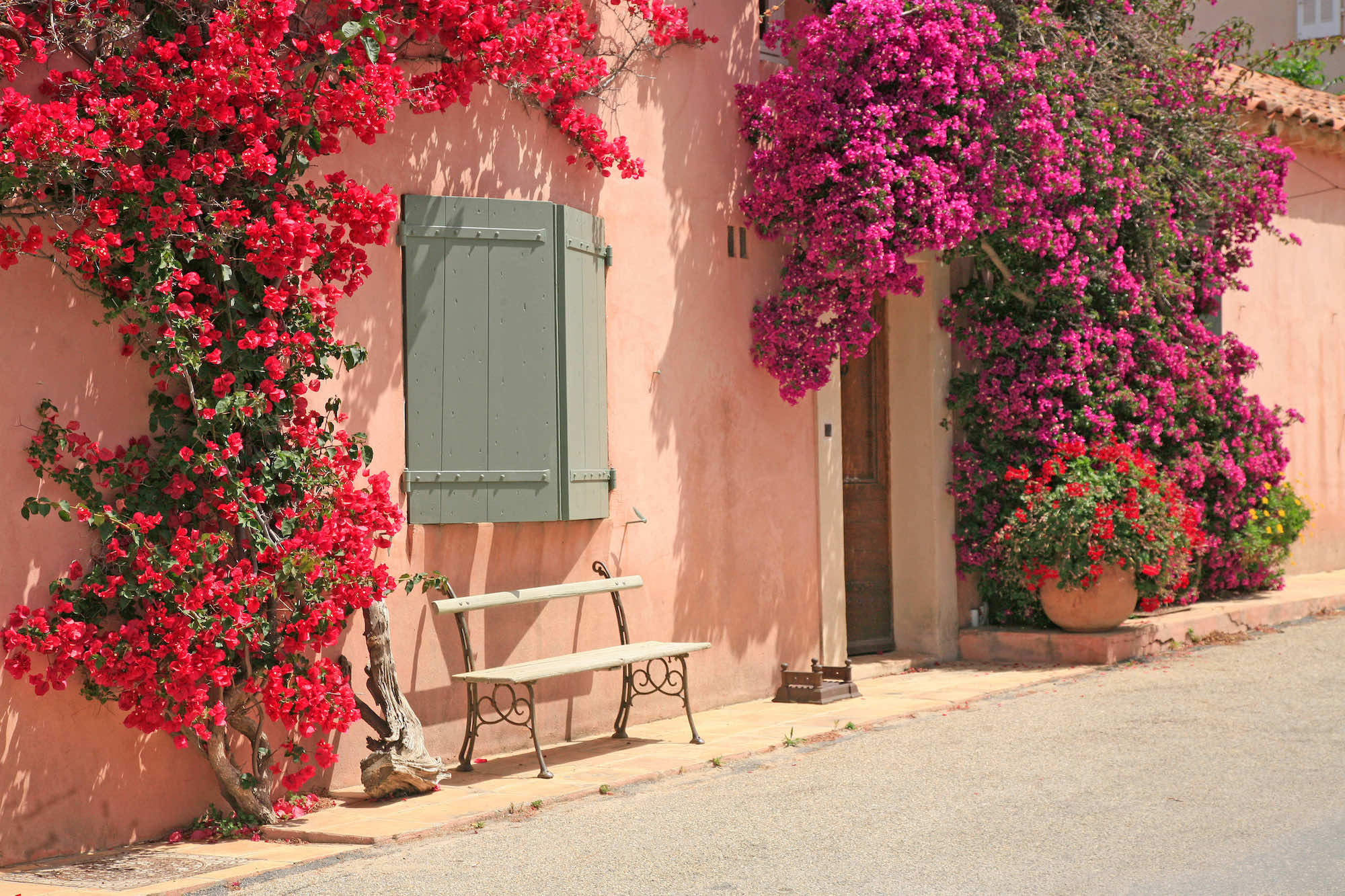 Cette île du Var qui éclipse Santorin en plein hiver  -  visuel 1/1