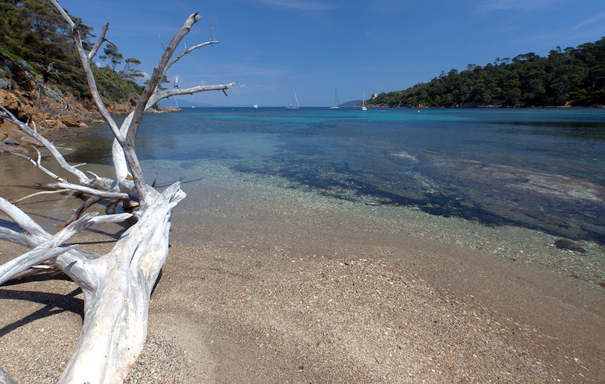 Le Mag Camping - Les plages de l'île de Port-Cros en vidéo