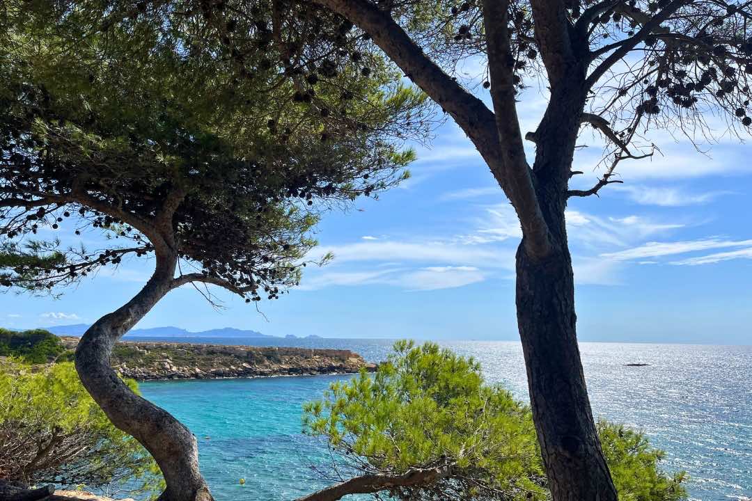 Un camping tout neuf au cœur d’une calanque ouvre cette année, réservez vite vos vacances 2025 !  -  visuel 2/2