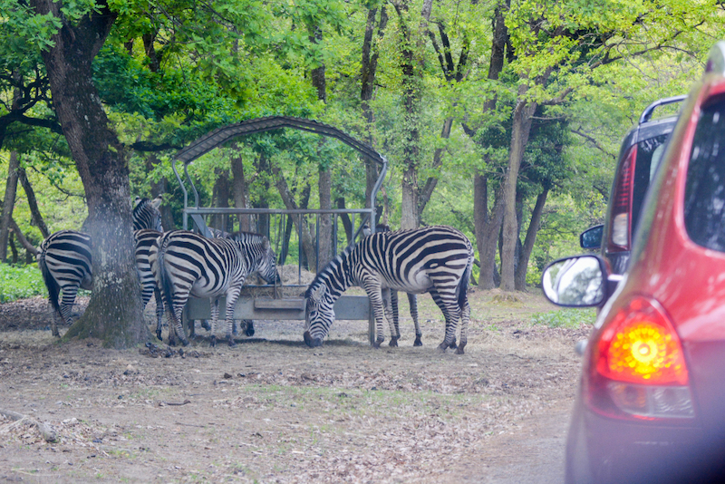 5 séjours nature 🌿 pour se ressourcer en famille  -  visuel 1/1