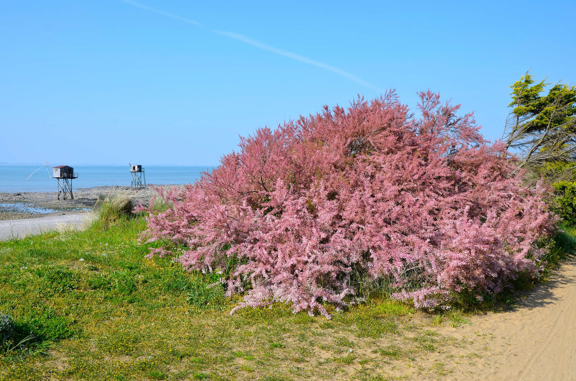 À 1 heure de Nantes, peu de gens connaissent les plages sauvages de Saint-Michel-Chef-Chef avec carrelets et dunes préservées  -  visuel 1/1