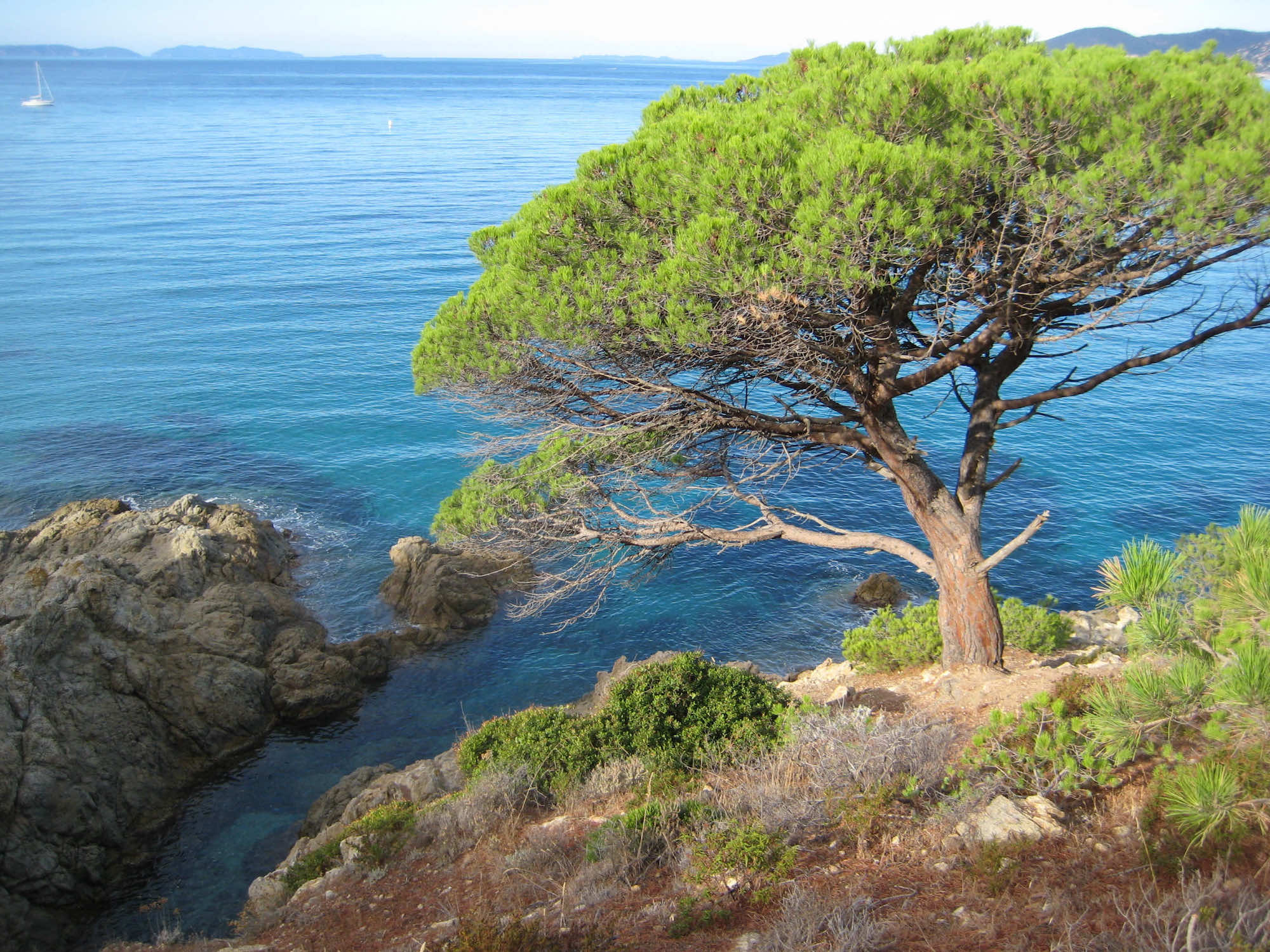 De Pampelonne à Saint-Tropez en passant par Tahiti : la randonnée mythique à découvrir cet automne  -  visuel 1/1