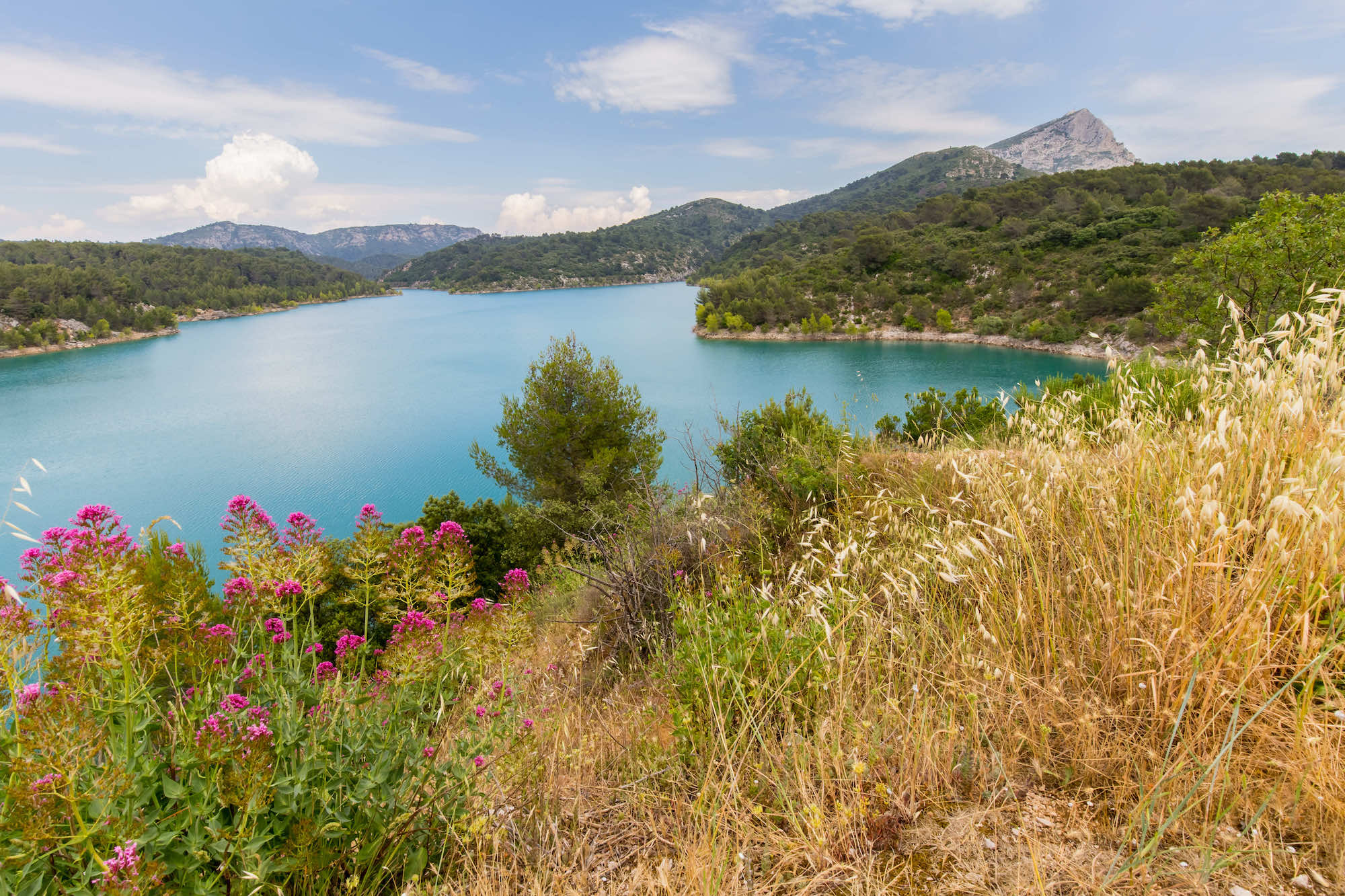 La Provence autrement  -  visuel 1/1