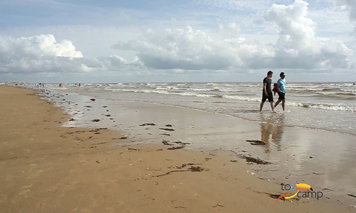 Vacances à Saint-Jean-de-Monts ? Les activités et découvertes à ne pas manquer  -  visuel 1/1