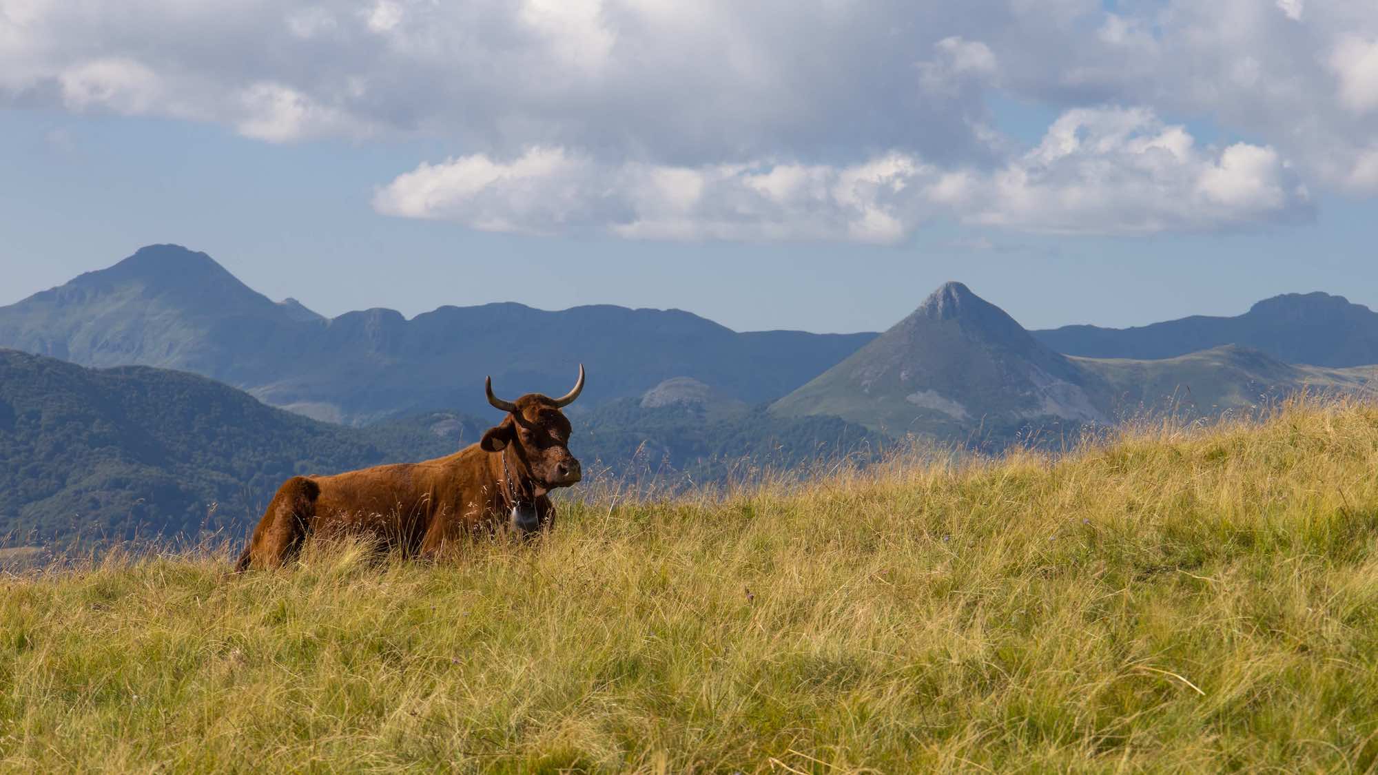 Ce village du Cantal aux maisons noires est l’un des plus beaux villages de France  -  visuel 1/1
