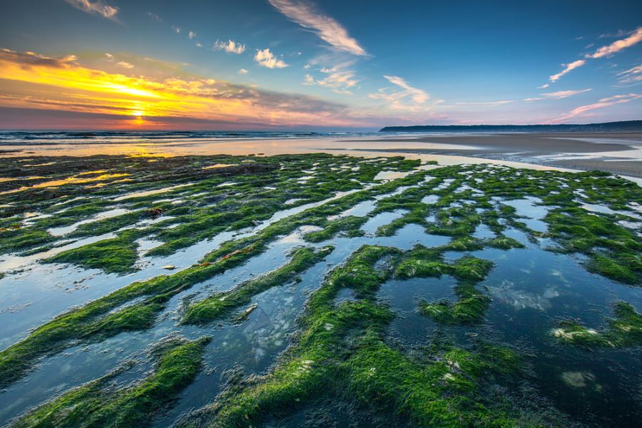 Top 10 des plus belles plages de France  -  visuel 1/1