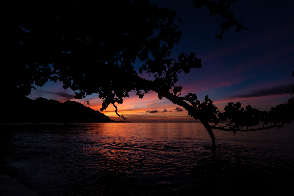Un camping à Moorea sur une plage de rêve !  -  visuel 2/2