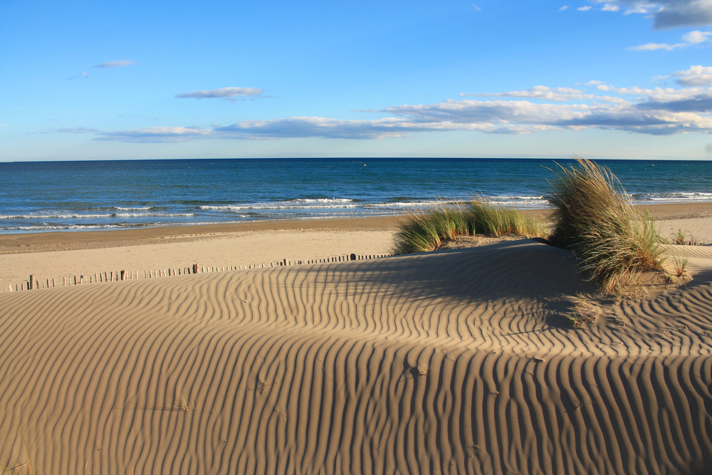 Que faire à Montpellier ?  -  visuel 1/1