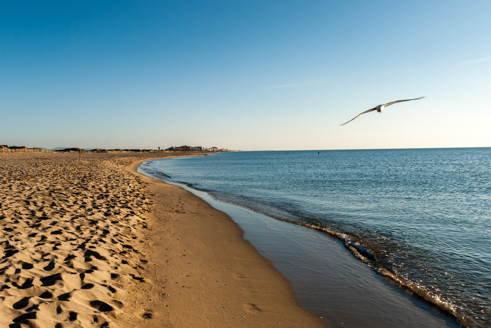 Le Mag Camping - Que faire à Canet en Roussillon pendant les vacances ?