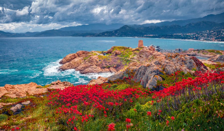 Que faire sur l'île Rousse en vacances ?  -  visuel 1/1