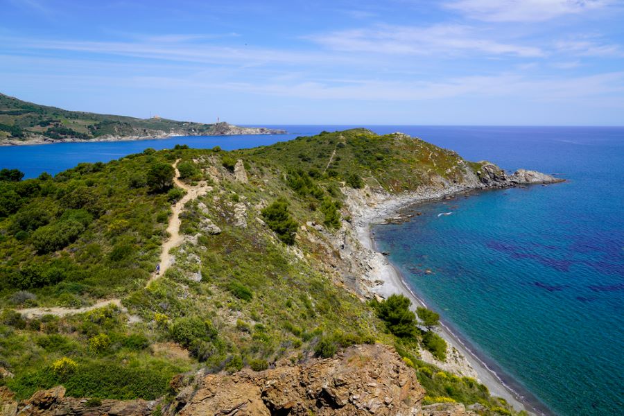Que faire à Collioure ?  -  visuel 1/1