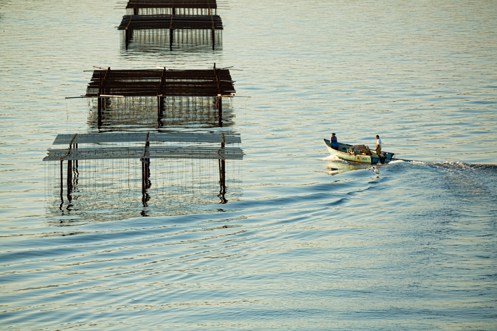 Que faire à Sète ?  -  visuel 1/1