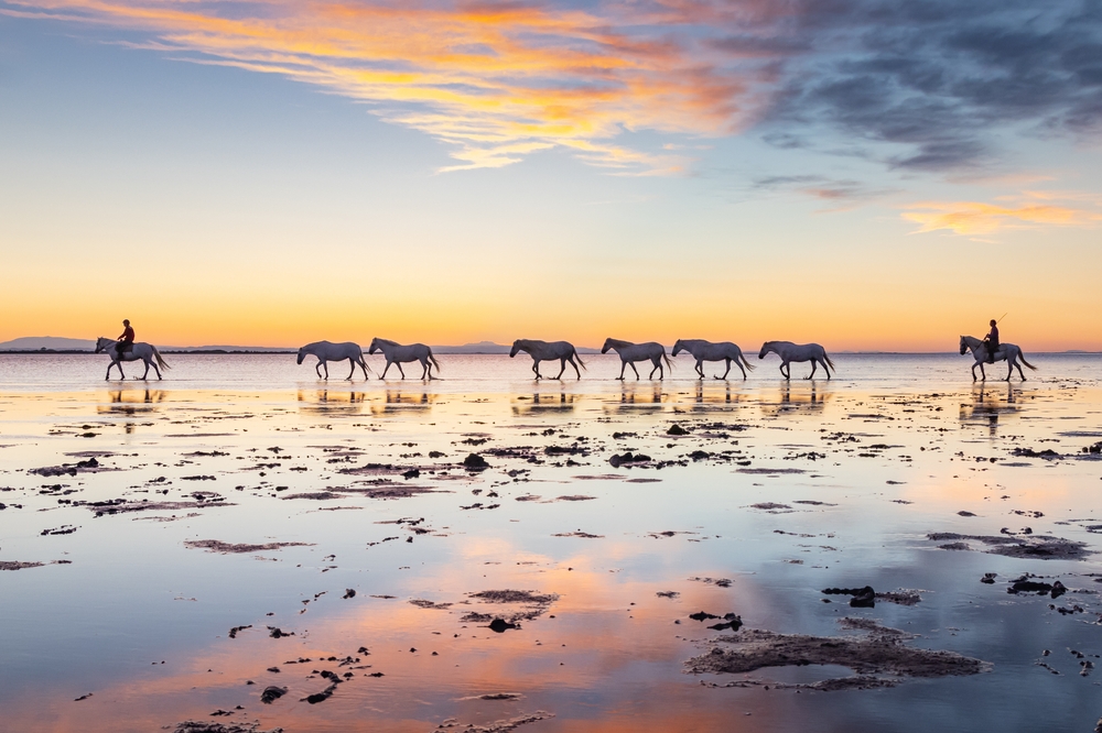 Trip d'une semaine en Occitanie  -  visuel 1/1