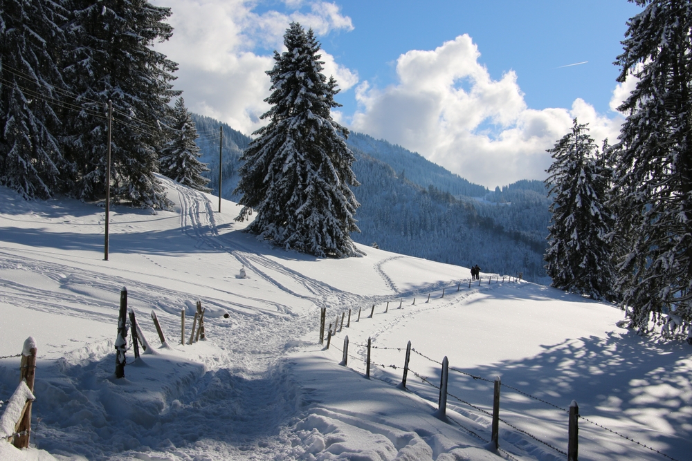 Week-end de Pâques, une dernière chance pour skier cette année ? ⛷️  -  visuel 1/1