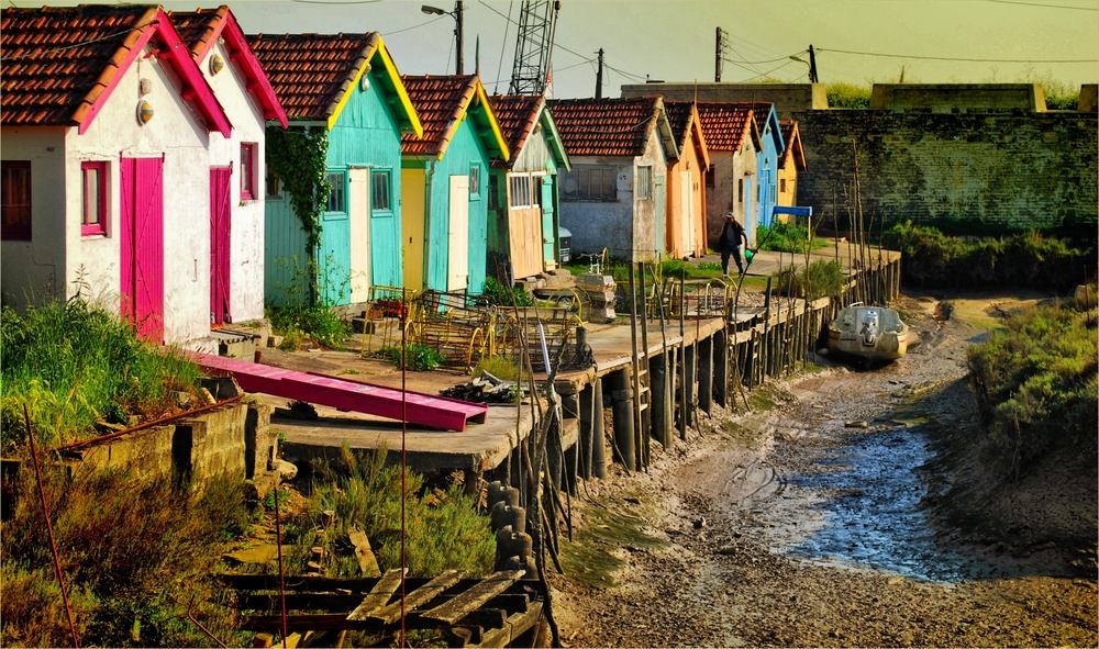 Le Mag Camping - Que faire sur l'Ile d'Oléron en vacances ?