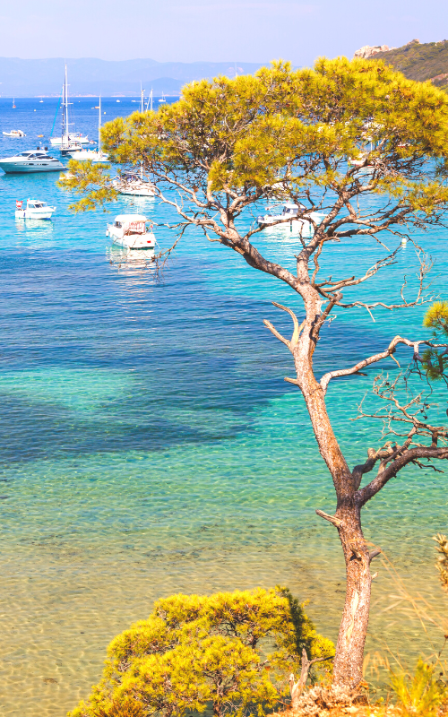 Le Mag Camping - Les plus belles plages secrètes du Var ! 🏖