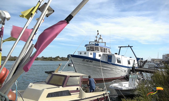 Que faire à Valras en vacances ?  -  visuel 1/1