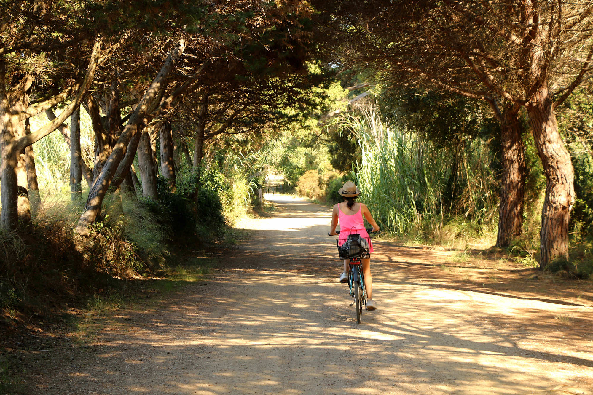 Cette île du Var qui éclipse Santorin en plein hiver  -  visuel 1/1
