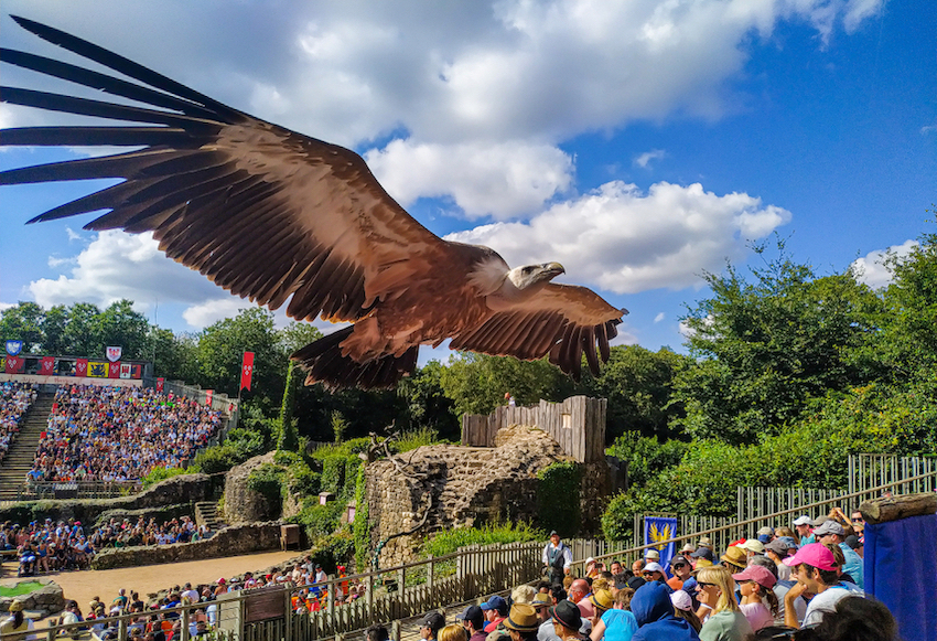 Profitez d'un séjour d’une semaine en juillet, en mobil-home près du Puy du Fou avec accès aquatique, dès 107 € par personne !  -  visuel 1/1