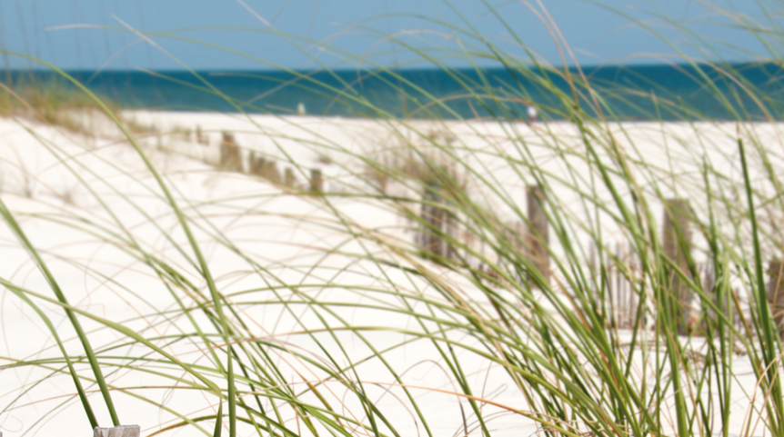 Des Cabanes extraordinaires pour les enfants  -  visuel 2/2