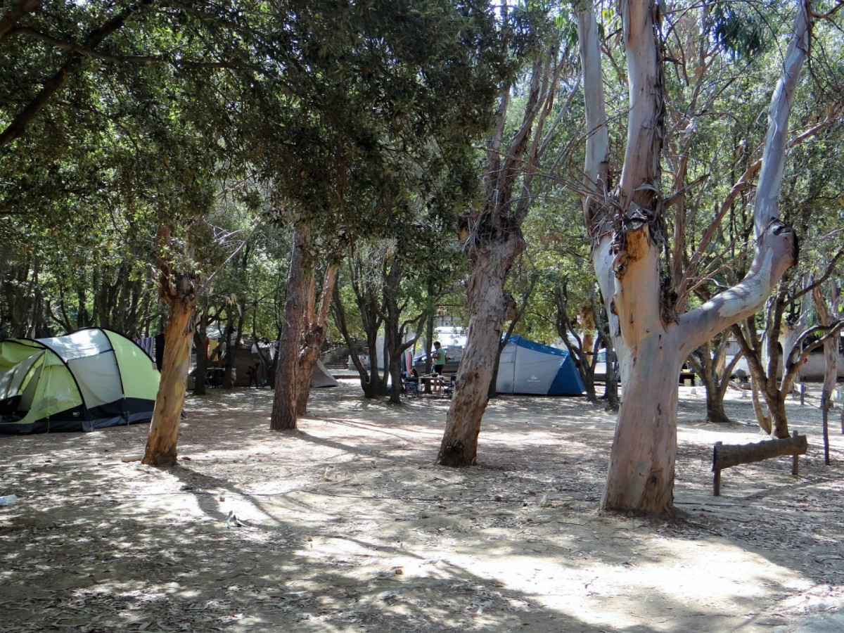 A Stella Corse - Farinole visuel 2/4 A Stella Corse - Farinole visuel 2/4