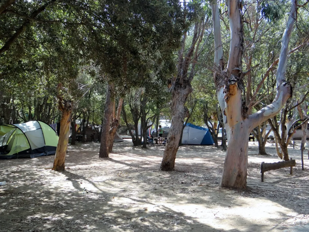 Camping A Stella Corse - Farinole visuel 2/4