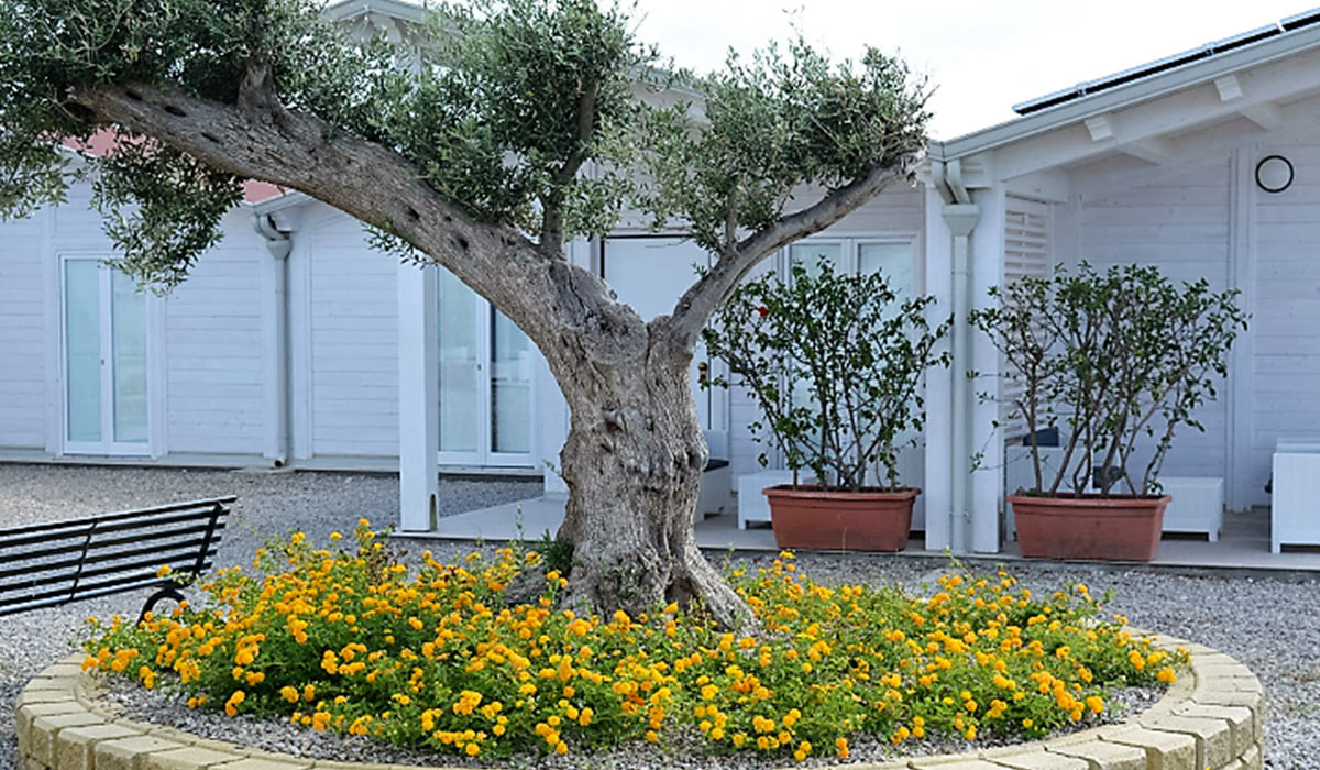 Agricampeggio Alessandra Sicile - Torrenova visuel 1/2